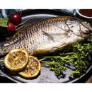 Super Omega-3 Softgels (60) by BariatricPal - No Fishy Aftertaste!