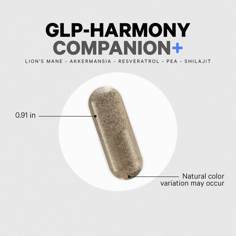 GLP-Harmony Companion+